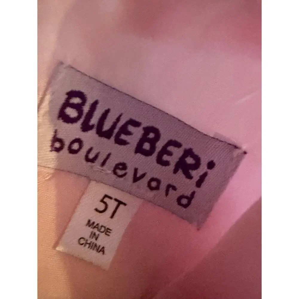 Blueberi Boulevard Girls Pink 3D Floral Sequin Party Dress Size 5T